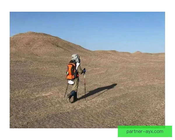 突破自我极限:顶级运动员谈训练心路与赛场感悟 突破自我极限:顶级运动员谈训练心路与赛场感悟